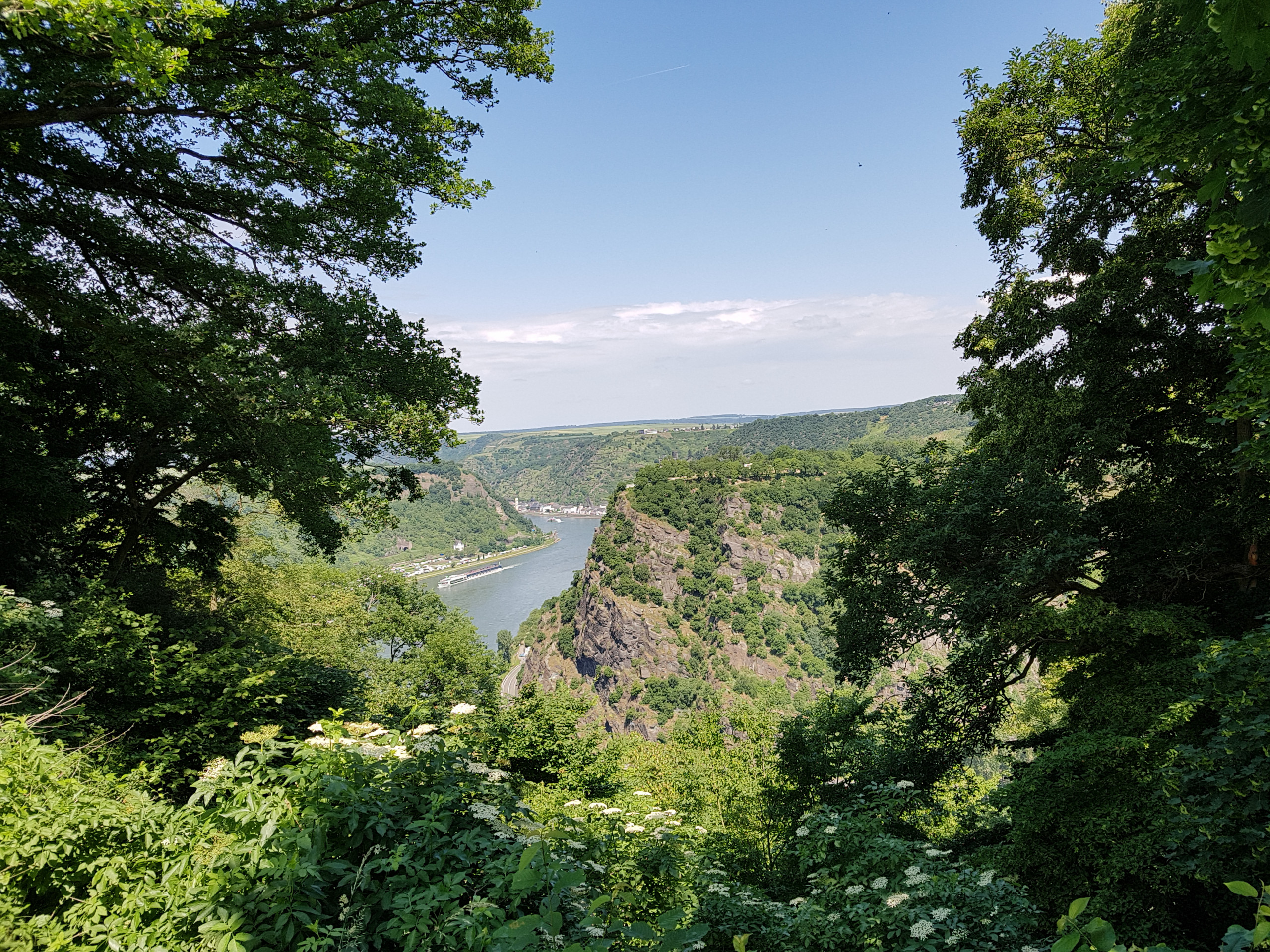Auf den schönsten Wanderwegen unterwegs: im Rheingau, in der Pfalz, am Mittelrhein, Eifel, Hunsrück, Westerwald
